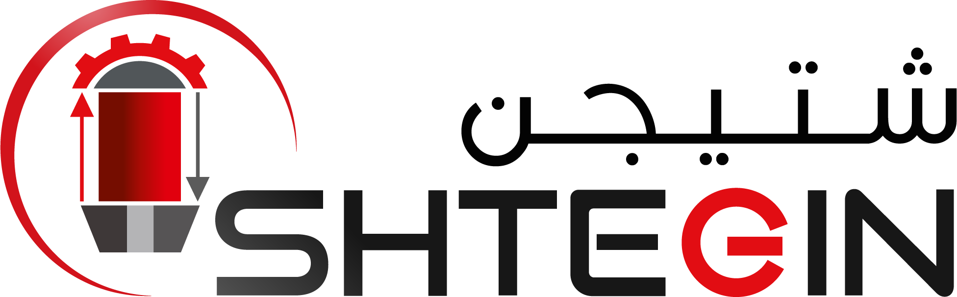 SHTEGIN Logo